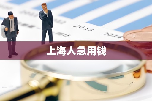 上海人急用钱