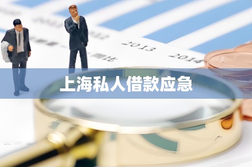 上海私人借款应急