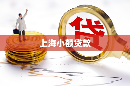 上海小额贷款 上海小额贷款
